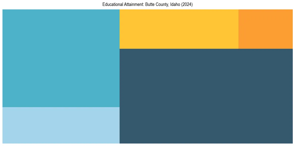 Education Treemap for  in 2024