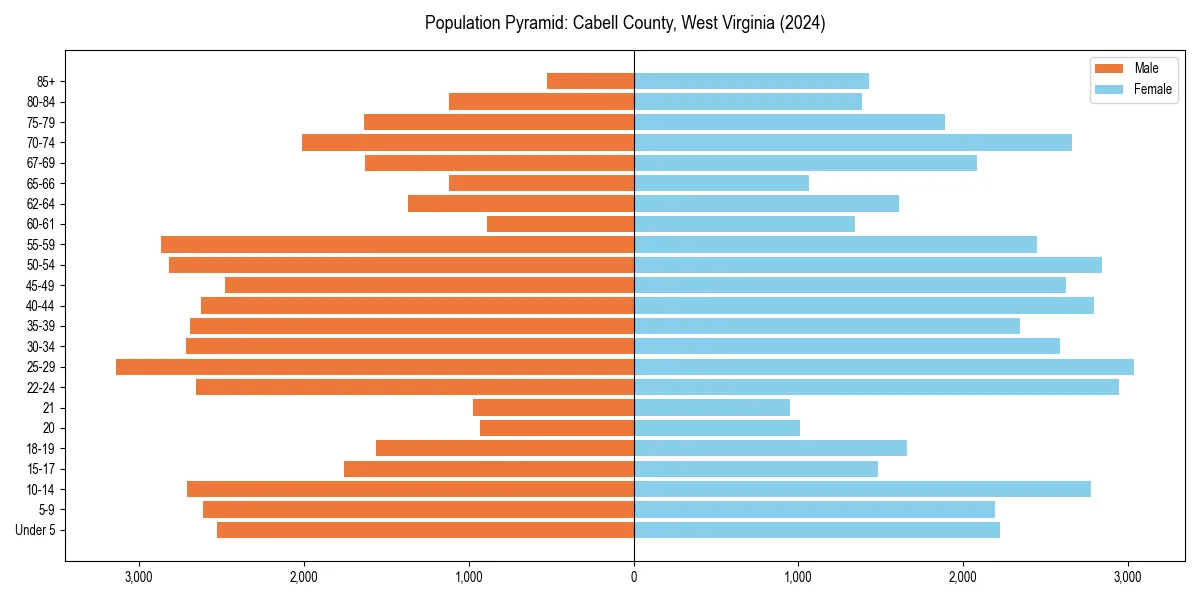 Population pyramid for 