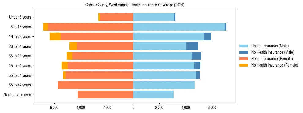 Health insurance pyramid for Cabell County, West Virginia