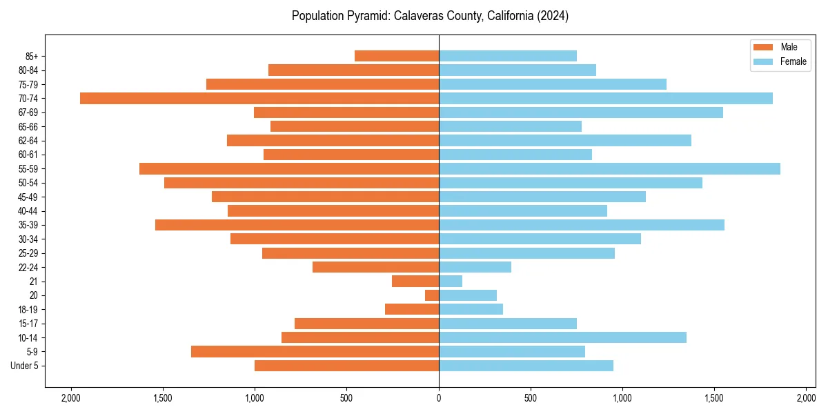 Population pyramid for 