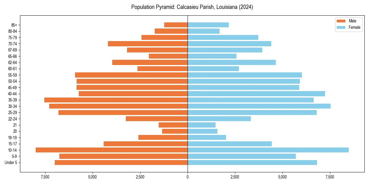 Population pyramid for 