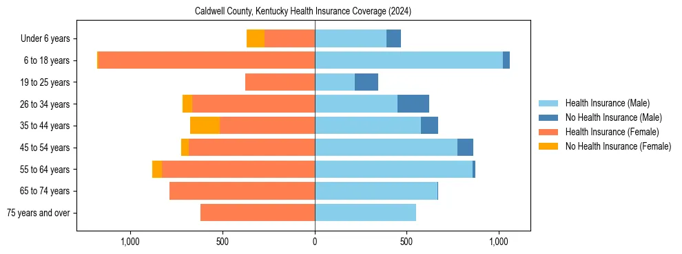 Health insurance pyramid for Caldwell County, Kentucky