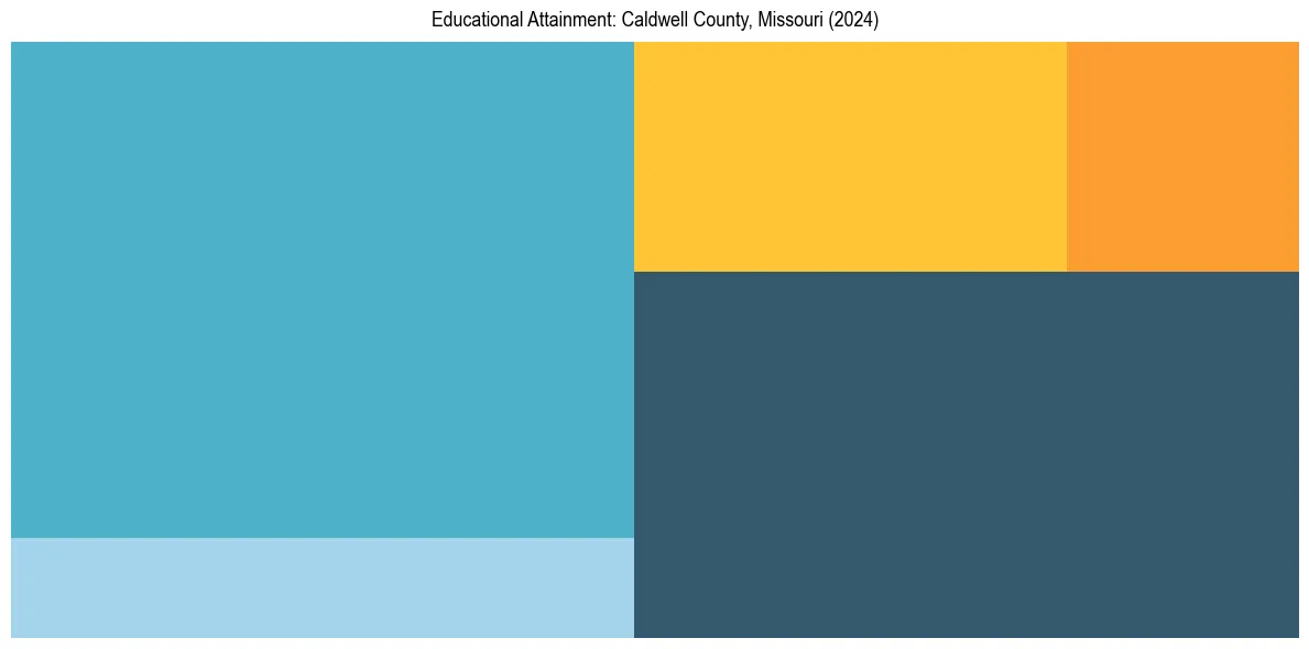 Education Treemap for  in 2024