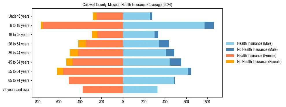 Health insurance pyramid for Caldwell County, Missouri