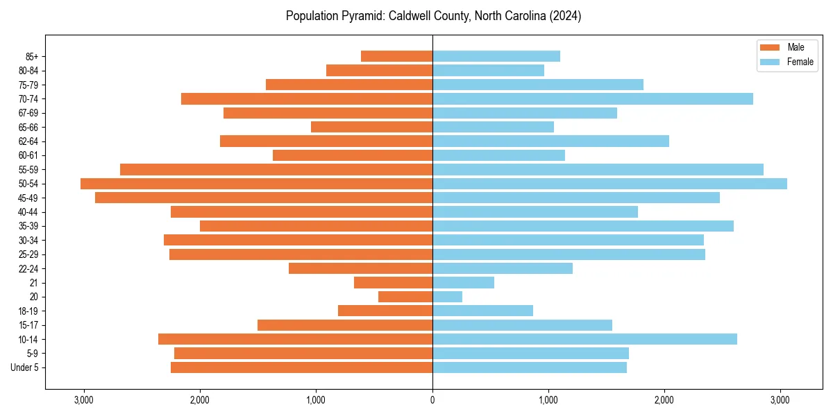 Population pyramid for 