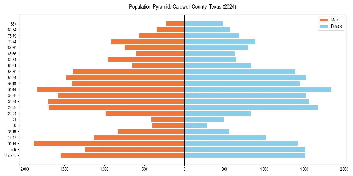 Population pyramid for 