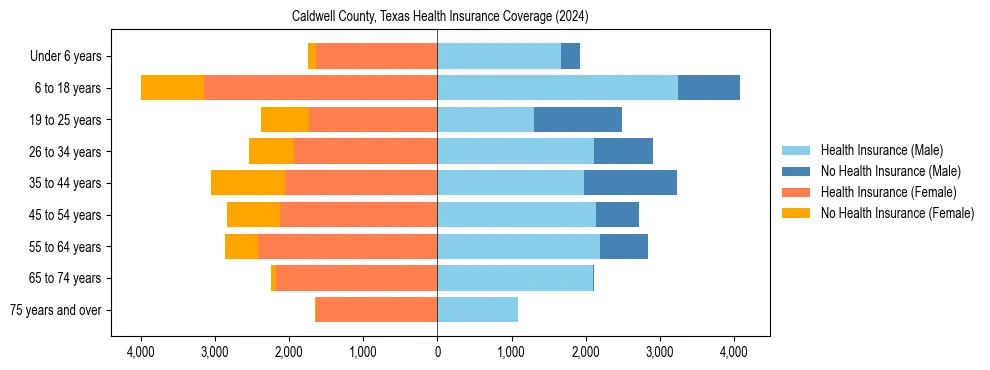 Health insurance pyramid for Caldwell County, Texas