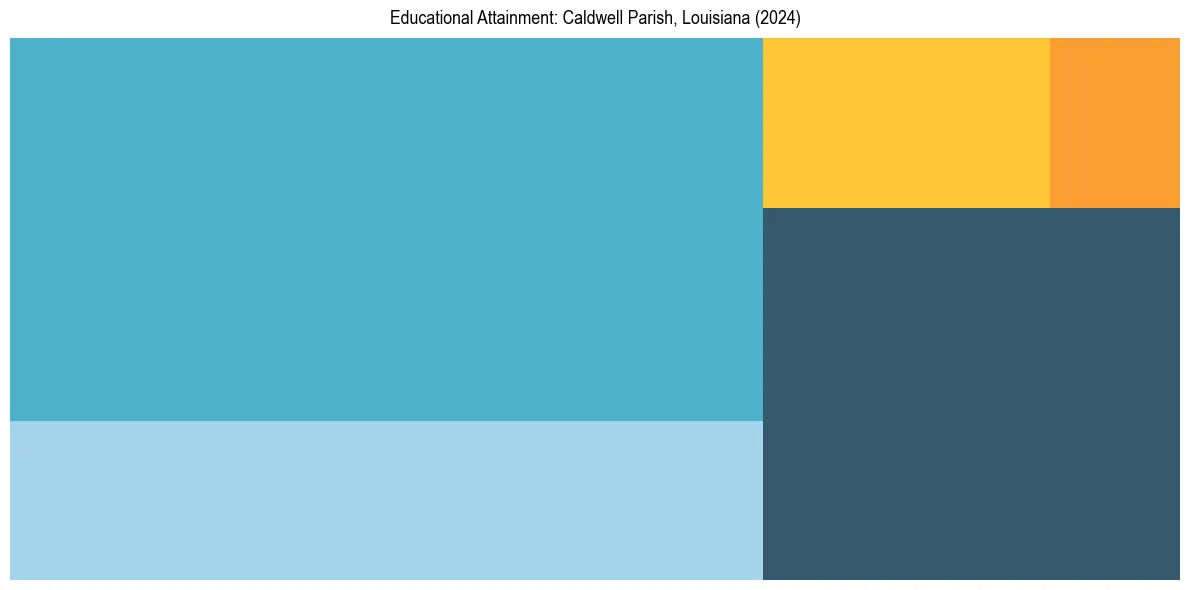 Education Treemap for  in 2024