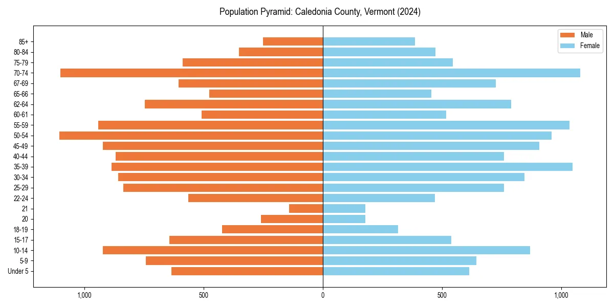 Population pyramid for 