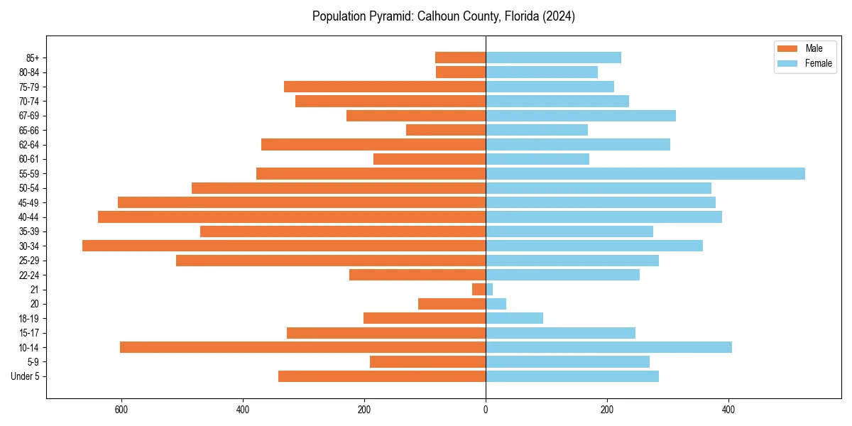 Population pyramid for 