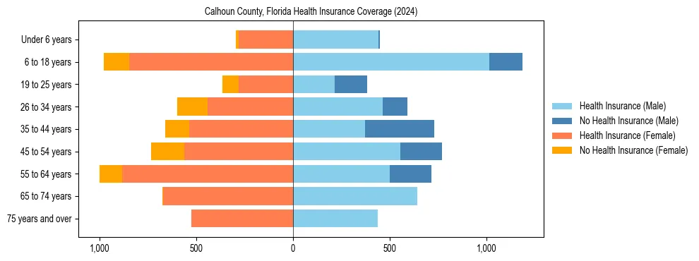 Health insurance pyramid for Calhoun County, Florida