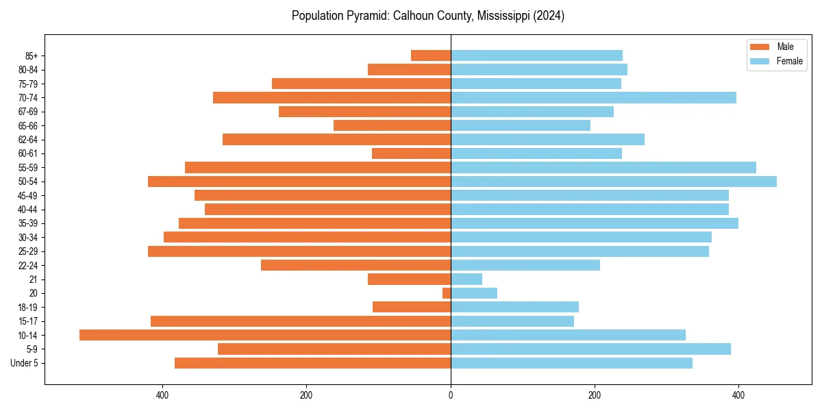 Population pyramid for 