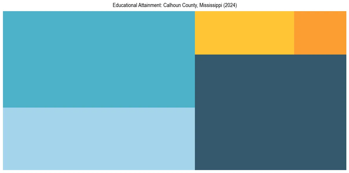 Education Treemap for  in 2024