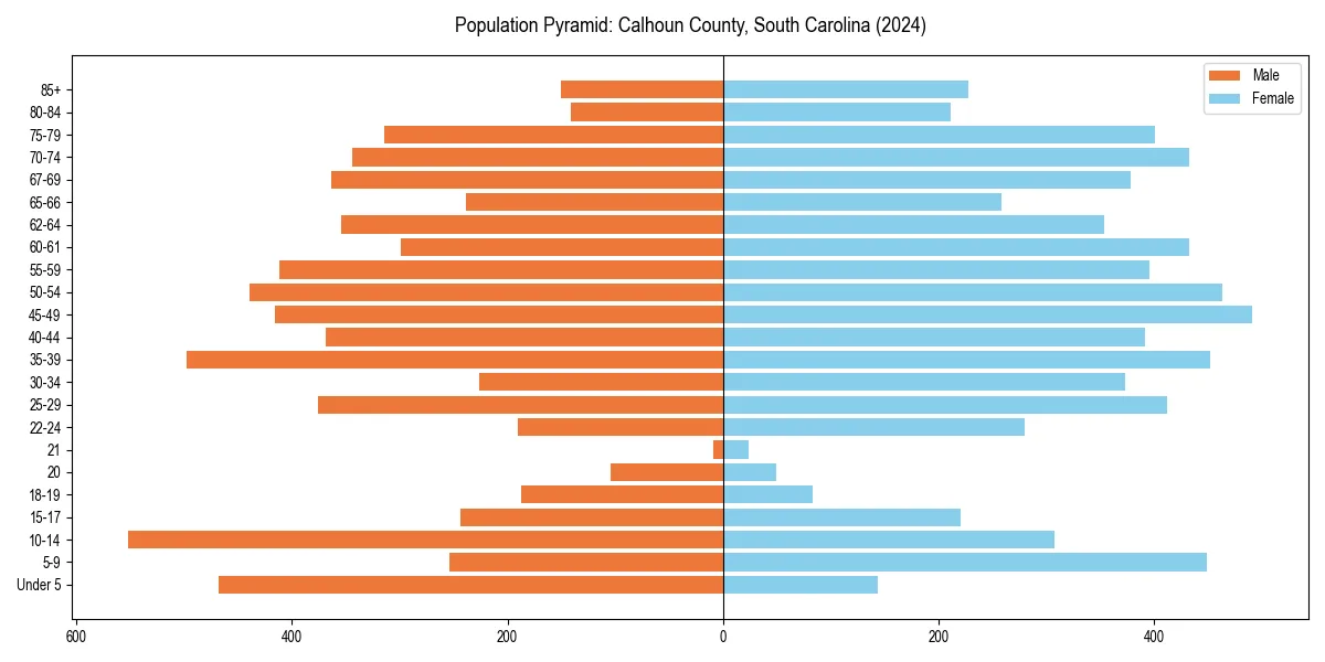Population pyramid for 
