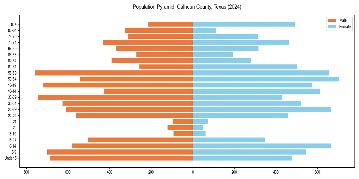 Population pyramid for 