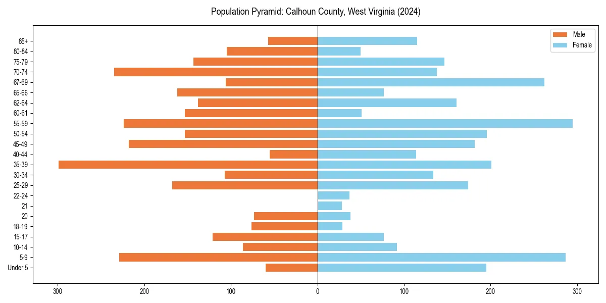 Population pyramid for 