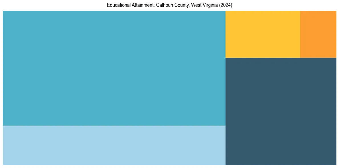 Education Treemap for  in 2024