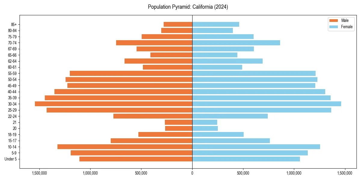 Population pyramid for 