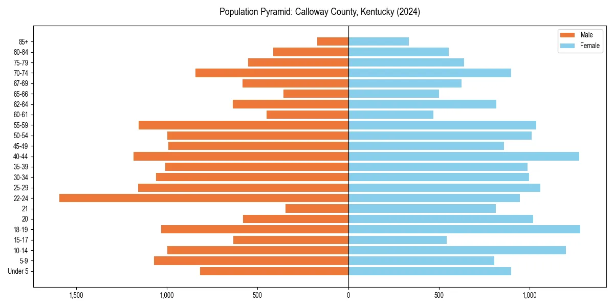 Population pyramid for 