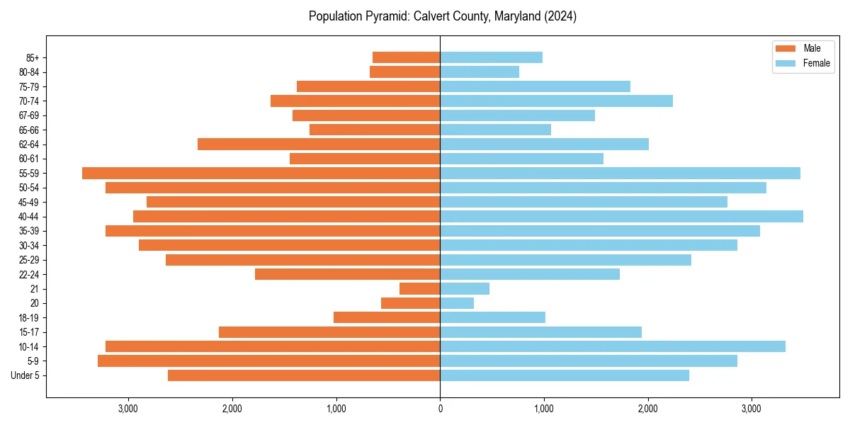 Population pyramid for 
