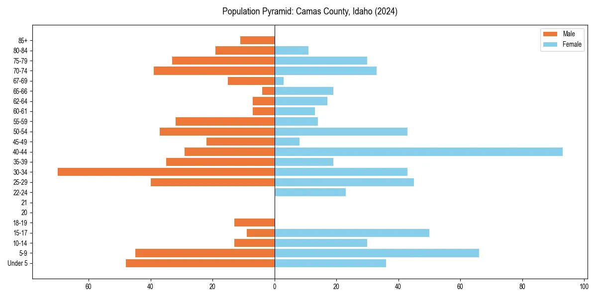 Population pyramid for 