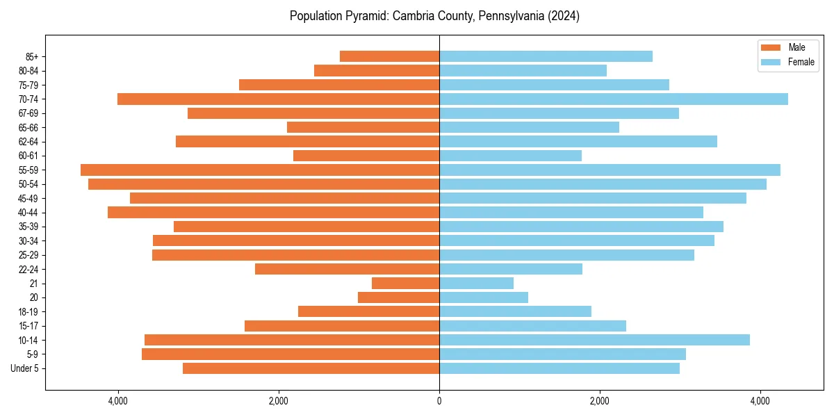 Population pyramid for 
