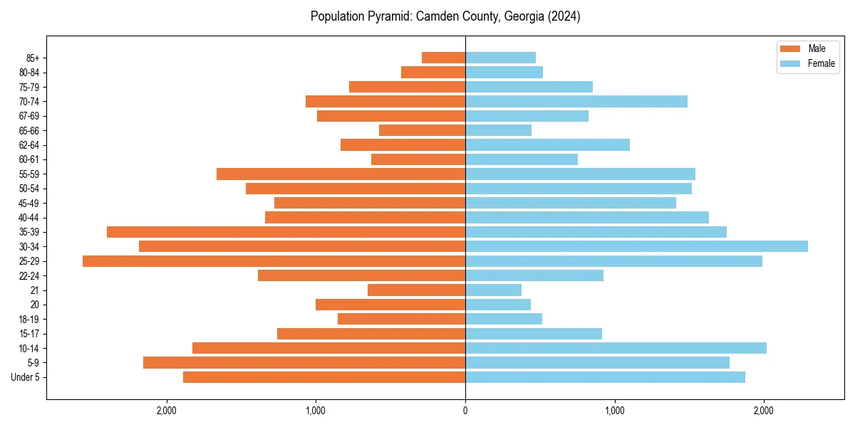 Population pyramid for 