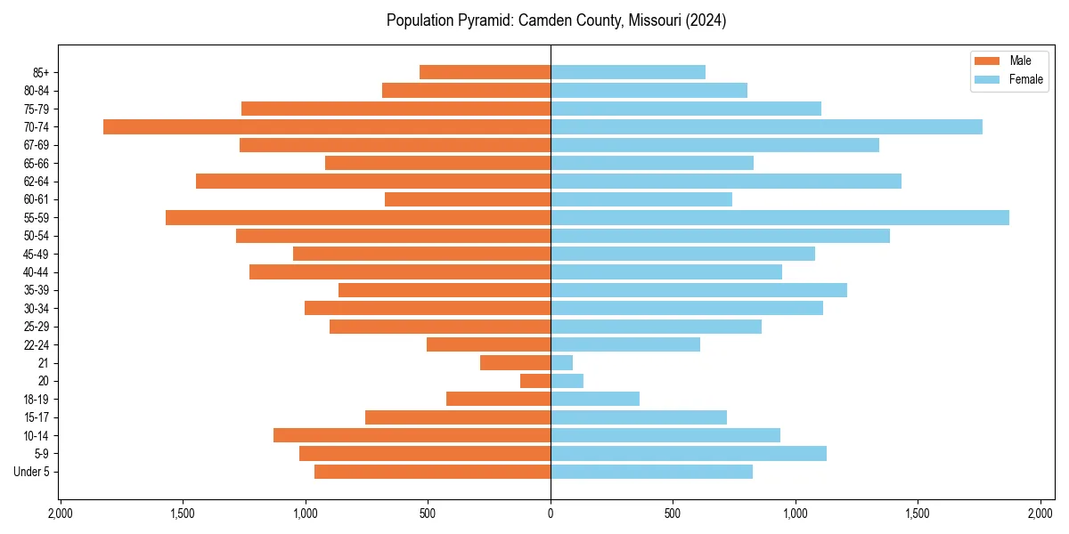 Population pyramid for 