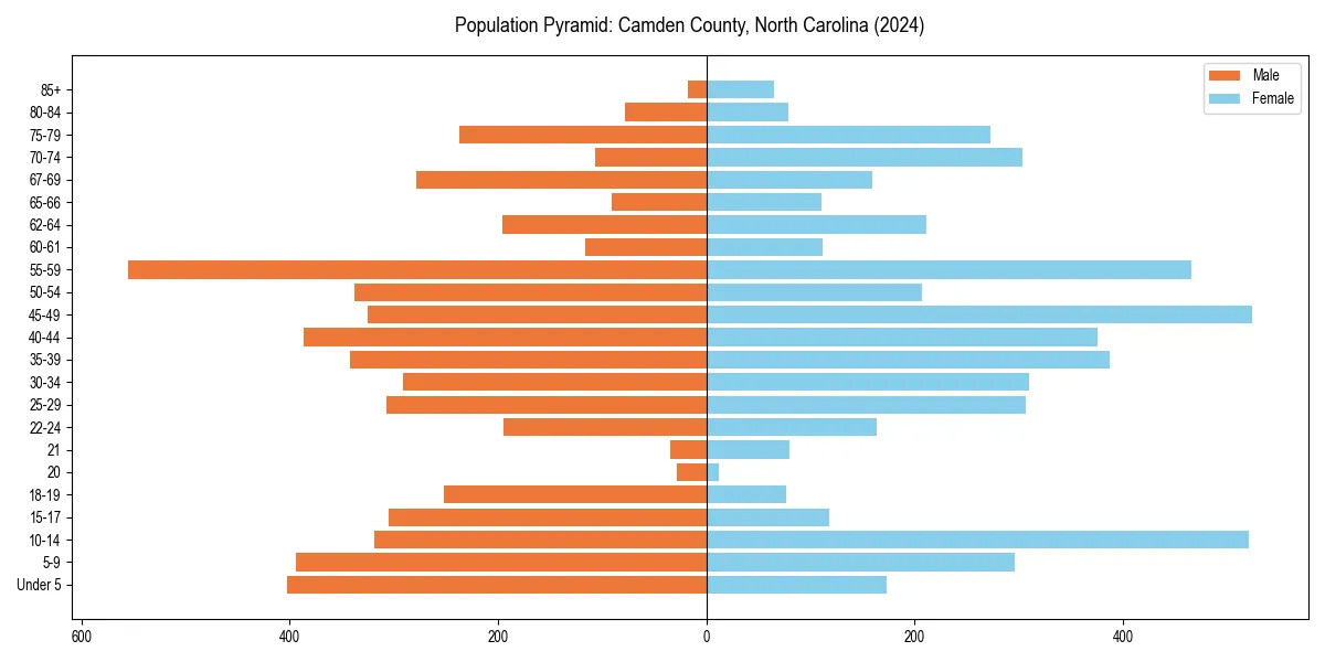 Population pyramid for 