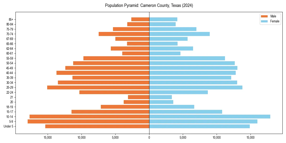 Population pyramid for 