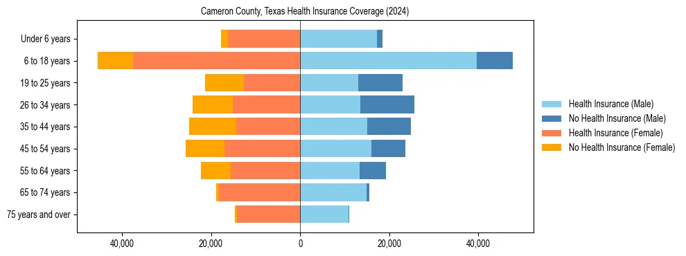 Health insurance pyramid for Cameron County, Texas