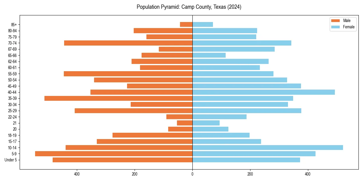 Population pyramid for 