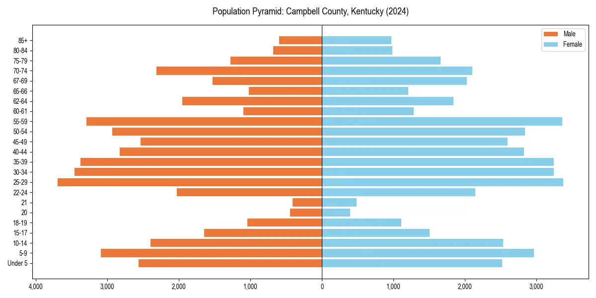 Population pyramid for 
