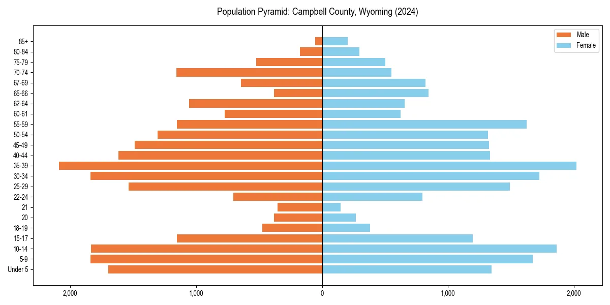 Population pyramid for 