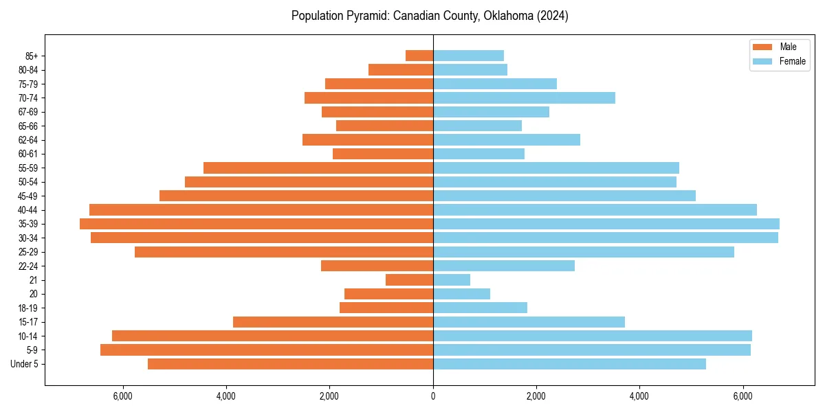 Population pyramid for 
