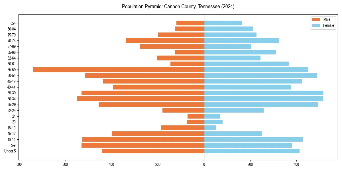 Population pyramid for 