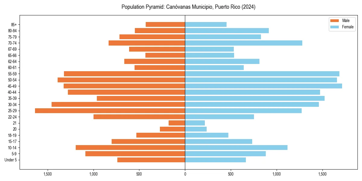 Population pyramid for 