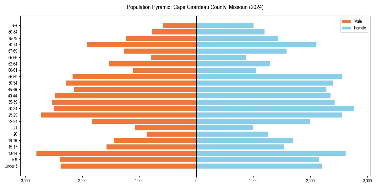 Population pyramid for 