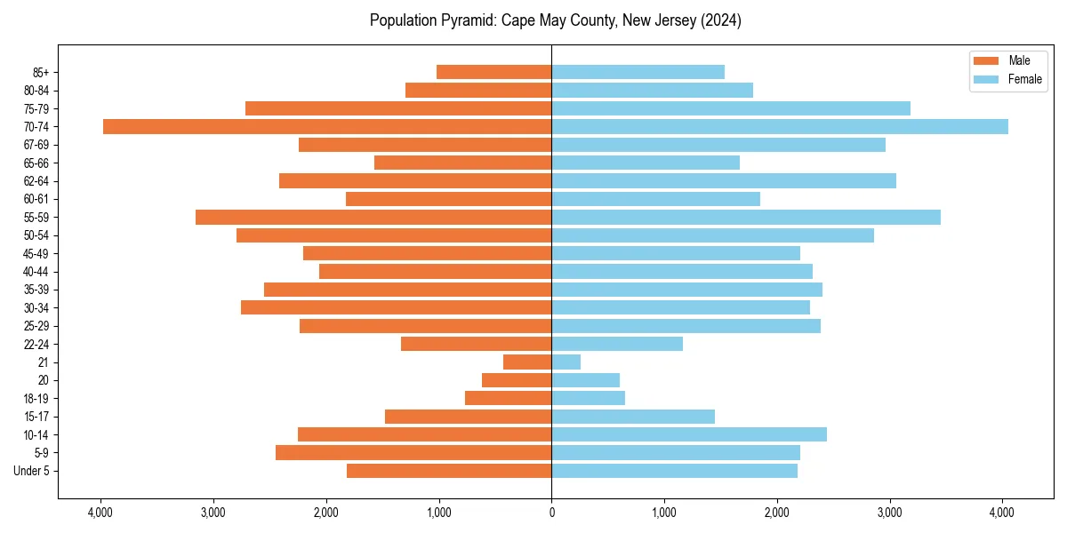 Population pyramid for 