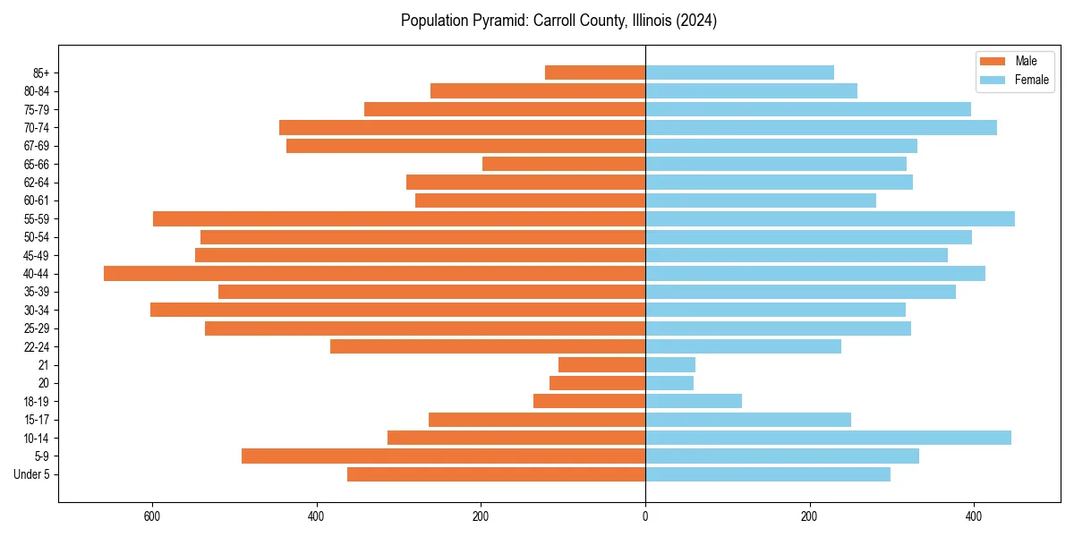 Population pyramid for 