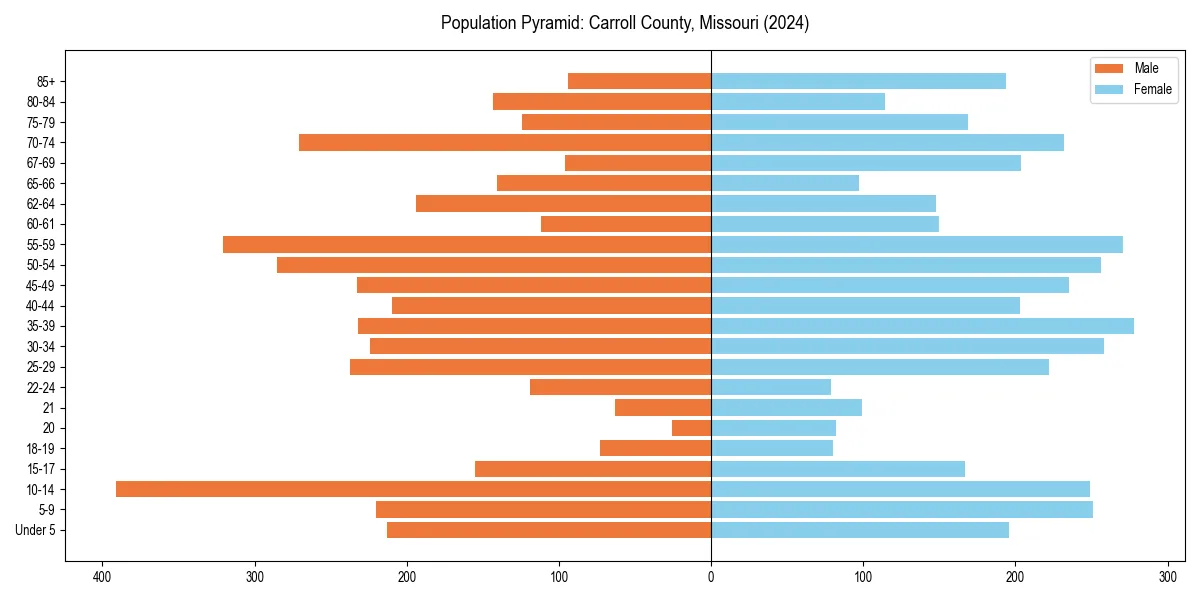 Population pyramid for 