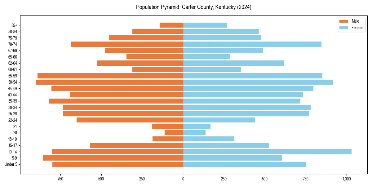 Population pyramid for 