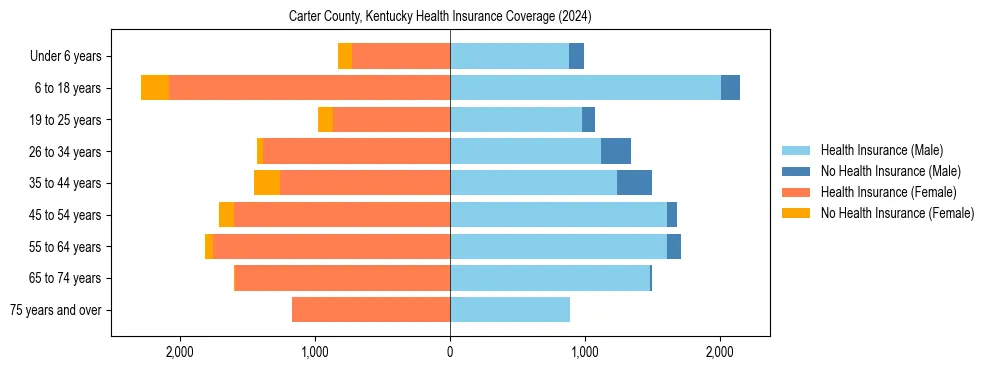 Health insurance pyramid for Carter County, Kentucky