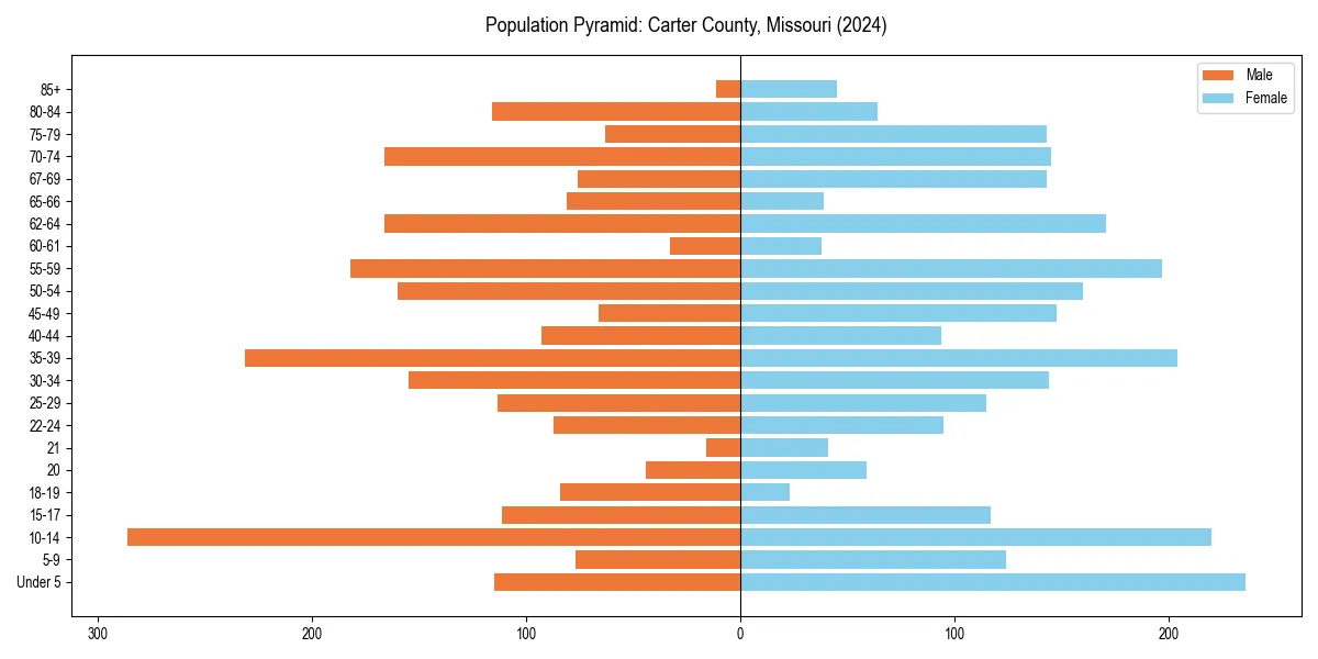 Population pyramid for 