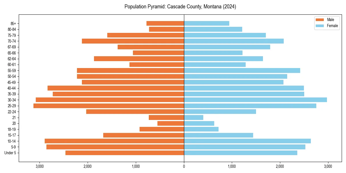 Population pyramid for 