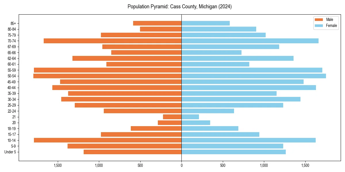 Population pyramid for 