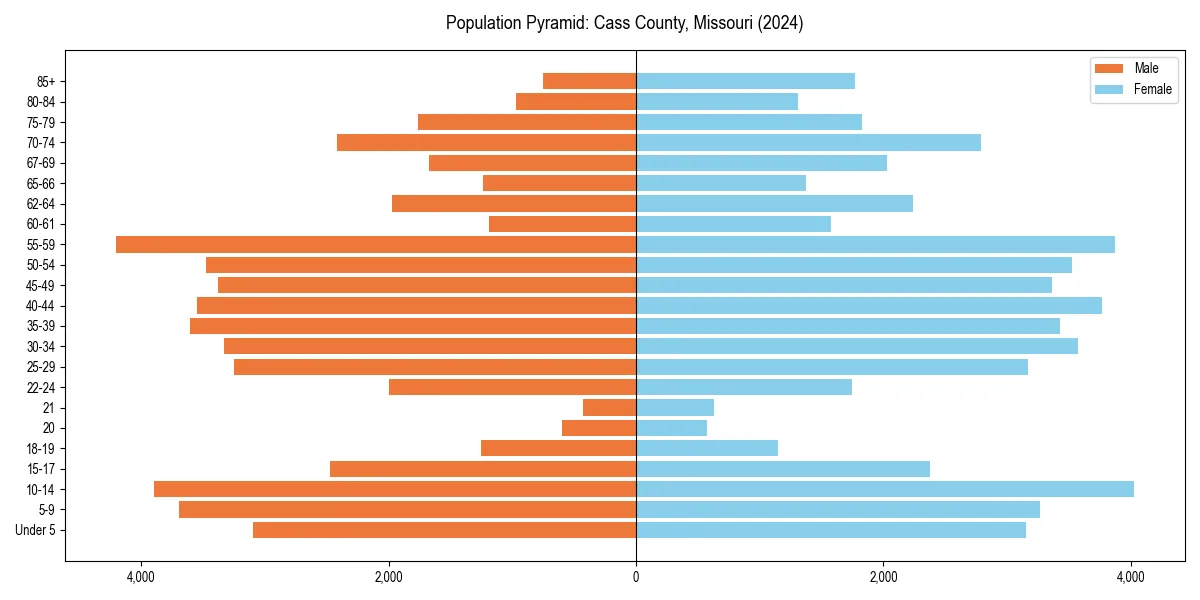 Population pyramid for 