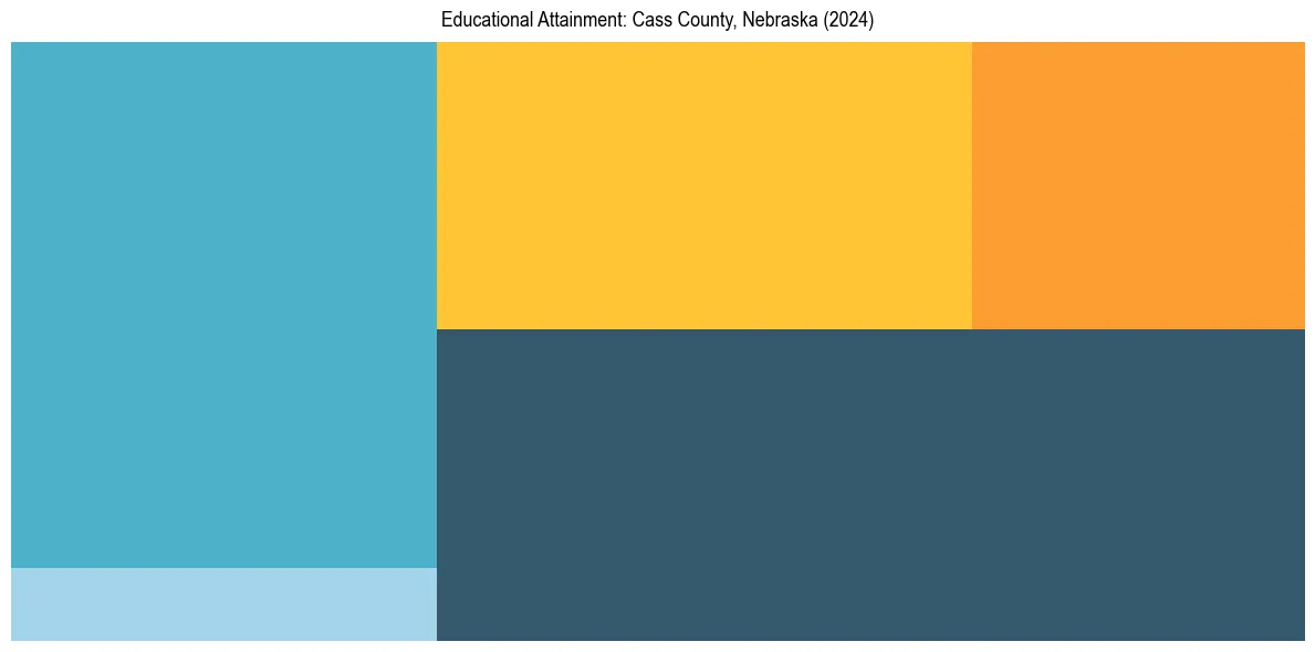 Education Treemap for  in 2024