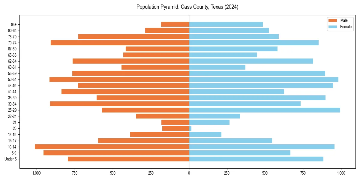 Population pyramid for 