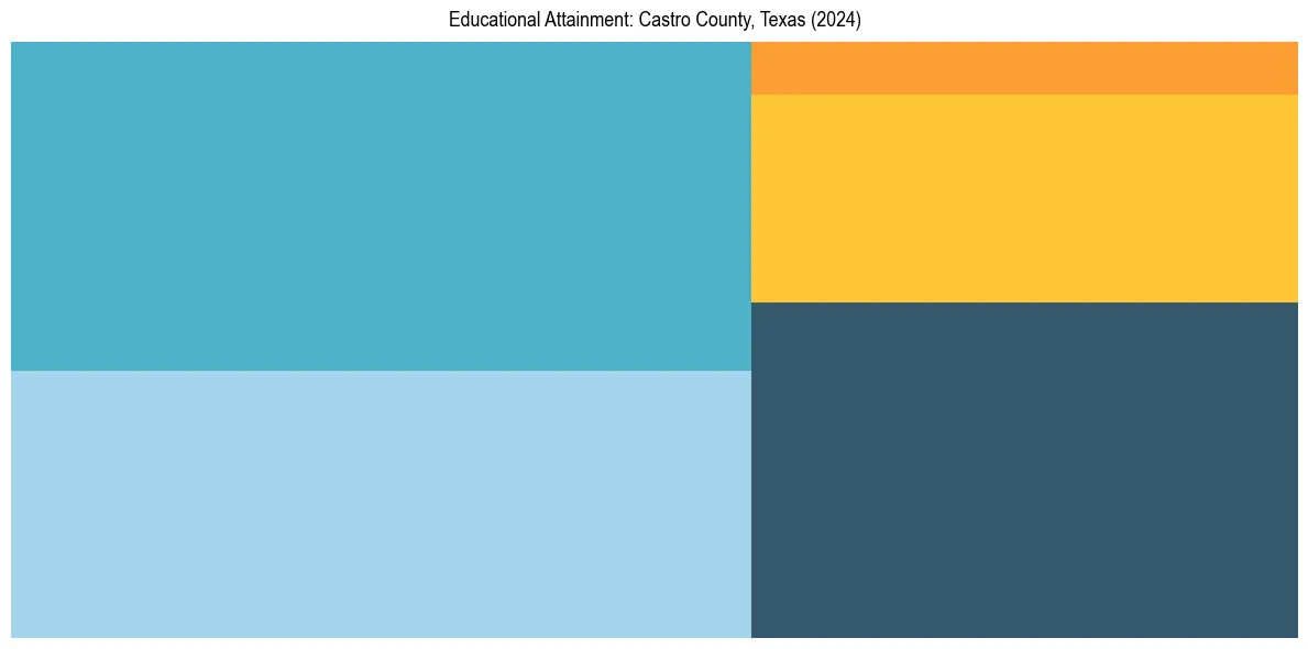 Education Treemap for  in 2024